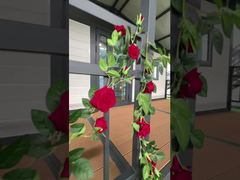 20 फीट कैनोपी फोल्डिंग हाउस